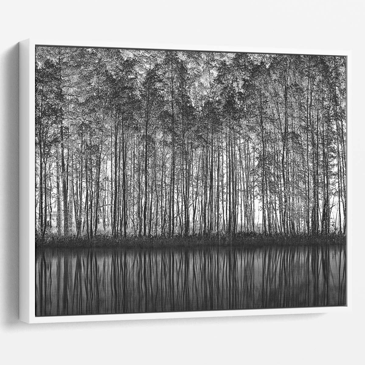 Serene Monochrome Forest Reflection Landscape Wall Art by Luxuriance Designs. Made in USA.