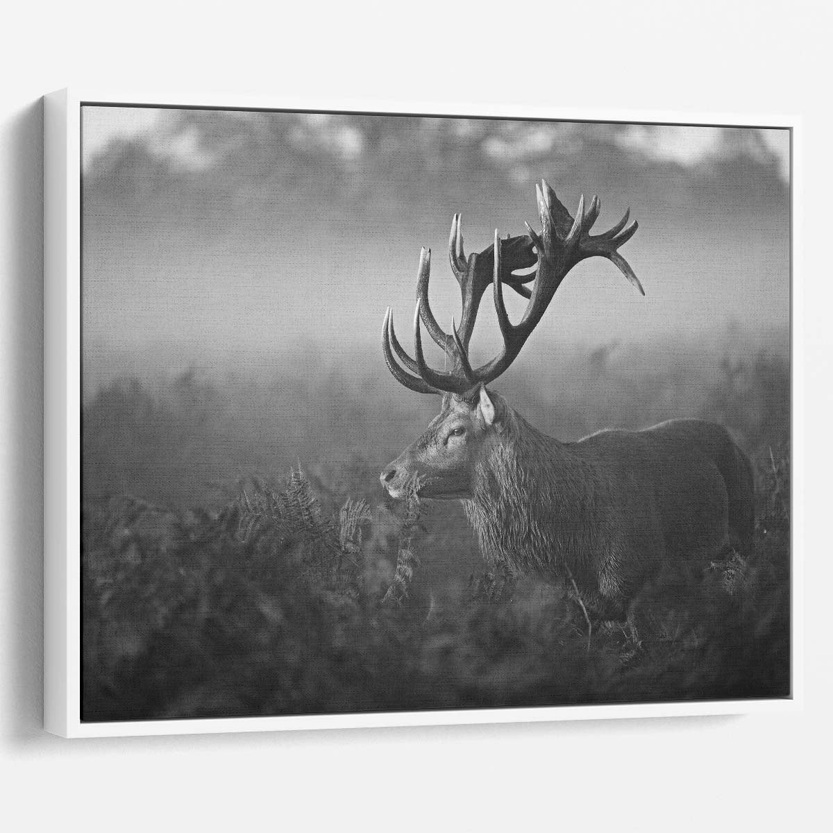 Misty Forest Wildlife Antler Monochrome Wall Art by Luxuriance Designs. Made in USA.