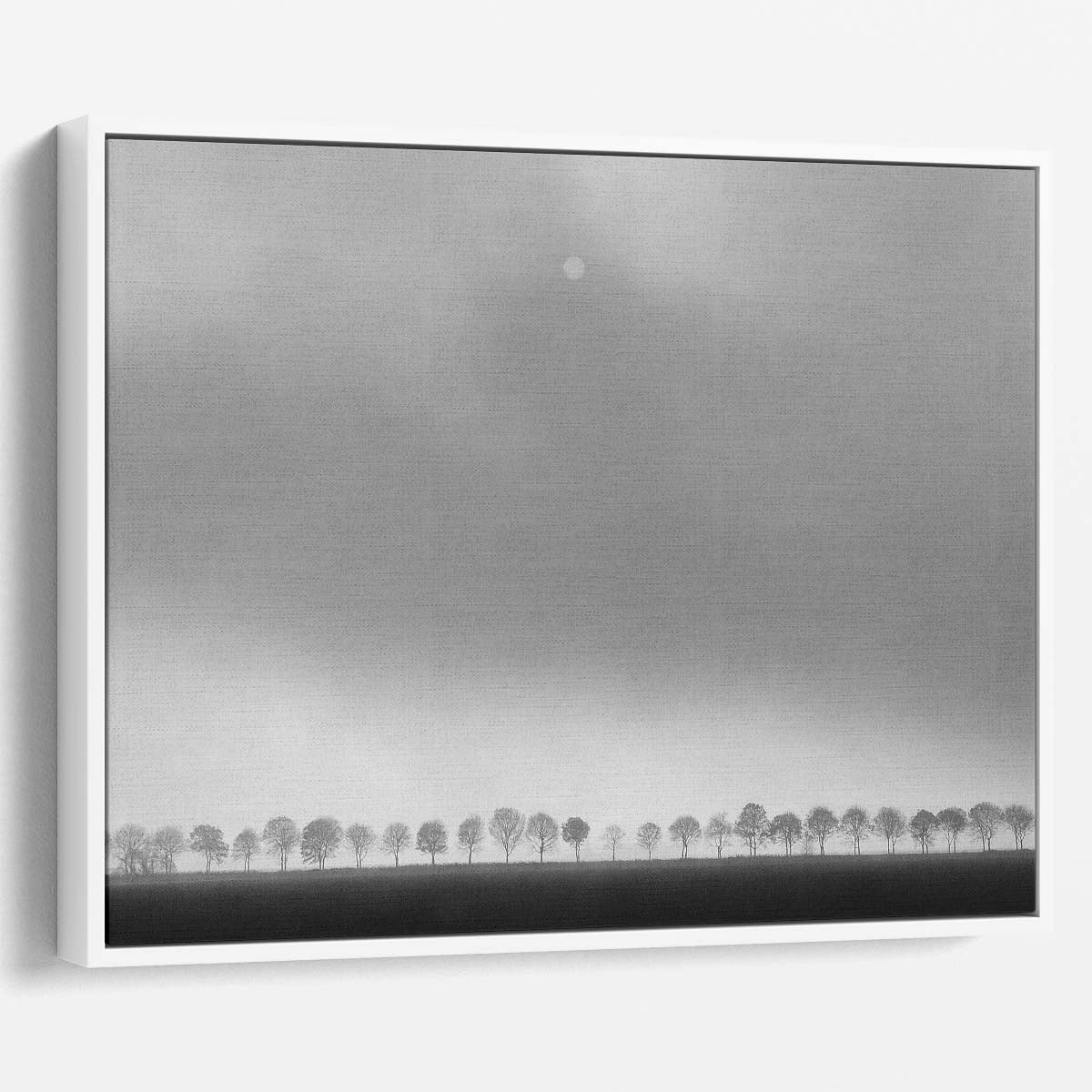 Moonlit Monochrome Tree Panorama Dutch Landscape Wall Art by Luxuriance Designs. Made in USA.