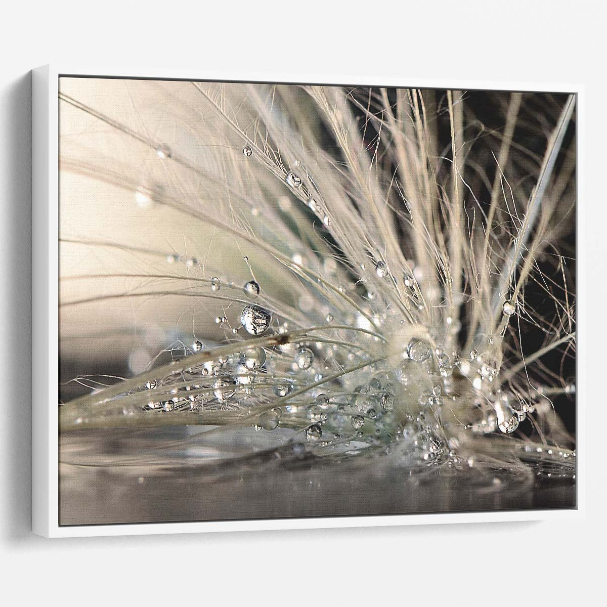 Pearl Water Drops Macro Photography by Maryam Zahirimehr Wall Art
