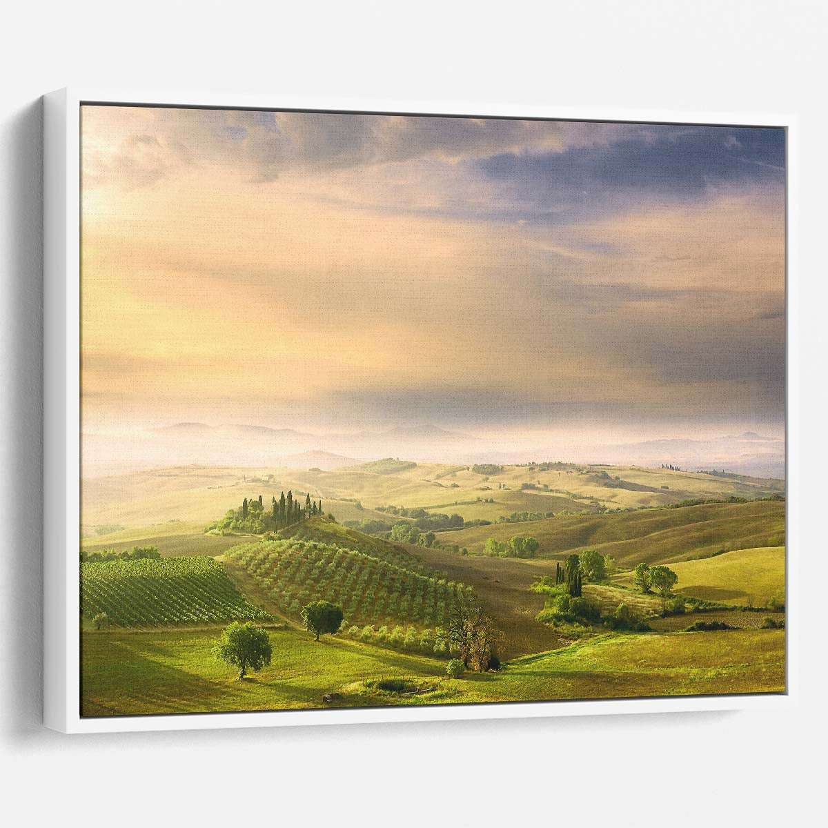 Tuscany Sunrise Lush Hills & Cypress Trees Wall Art by Luxuriance Designs. Made in USA.