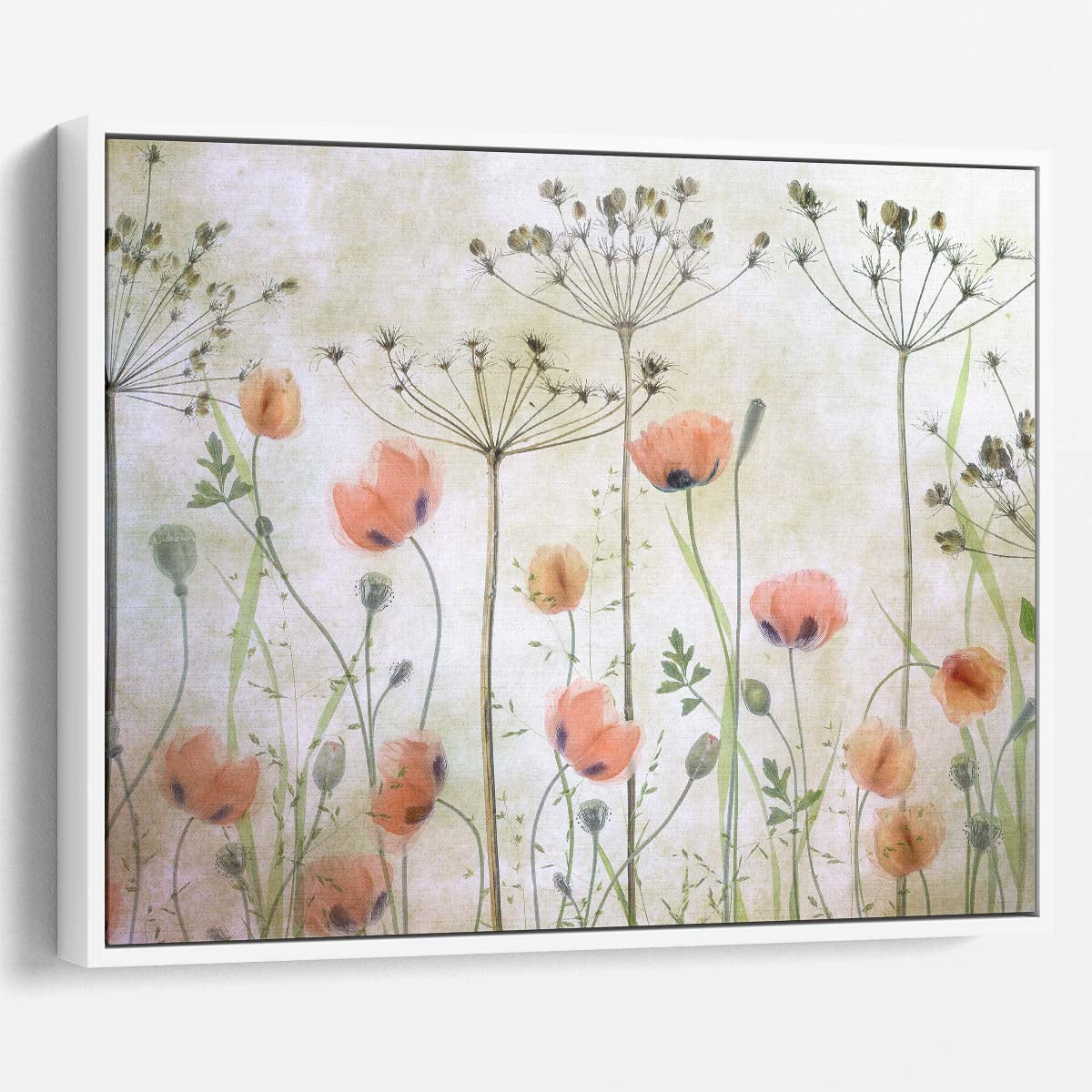 Poppy Meadow Floral & Botanical Still Life Photography Wall Art