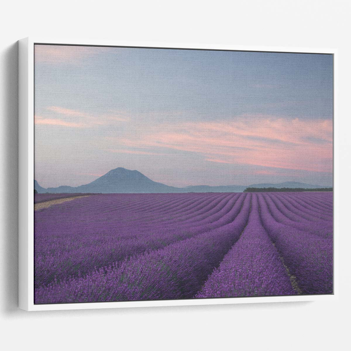 Provence Lavender Fields Floral Landscape Wall Art by Luxuriance Designs. Made in USA.