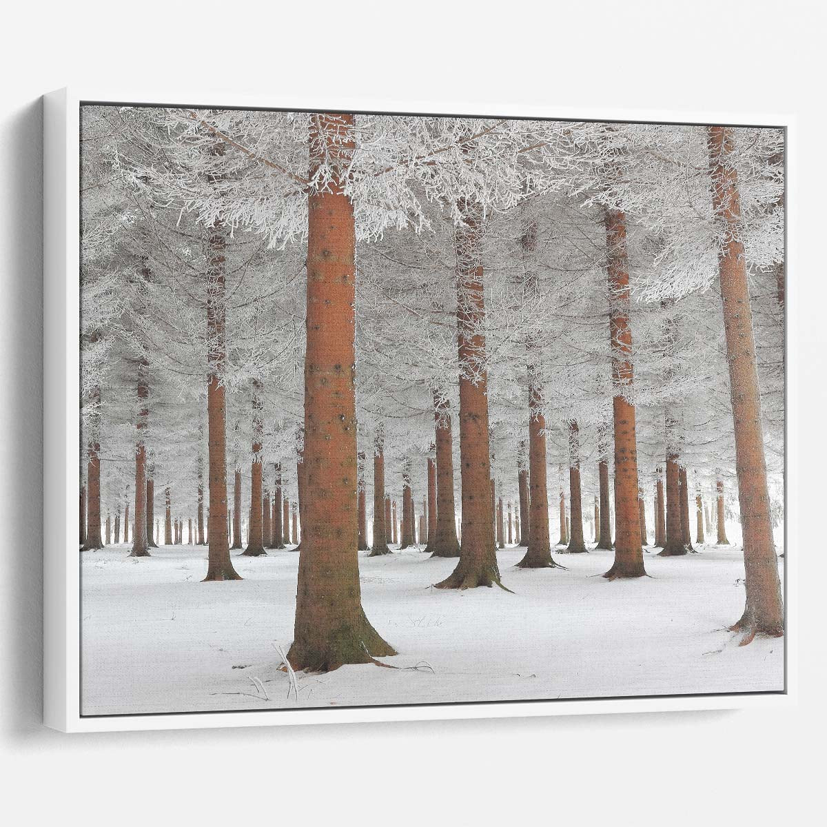 Frosty Serbian Winter Forest Snowscape Wall Art by Luxuriance Designs. Made in USA.