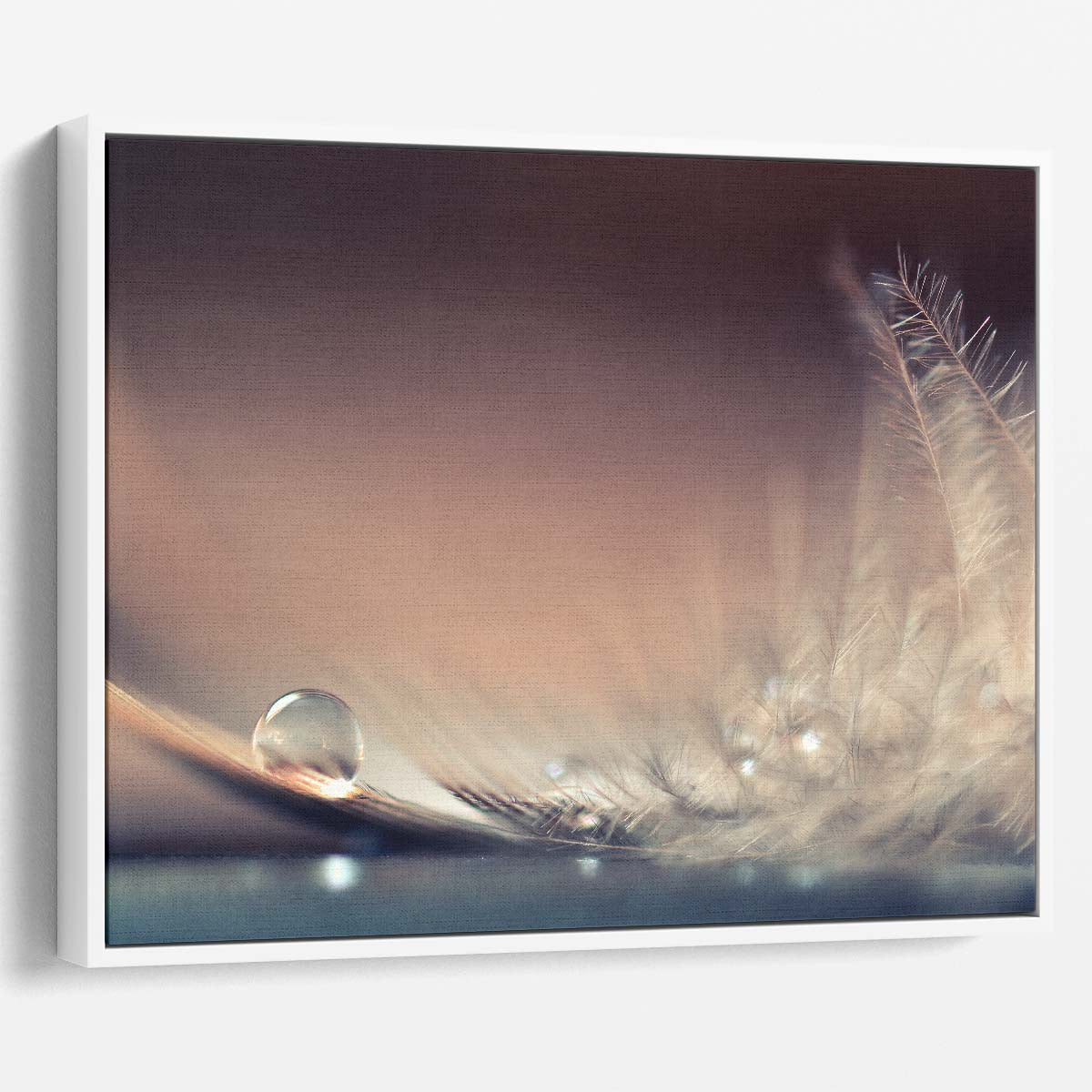 Delicate Macro Water Drops Photography Pastel Feather Art Wall Art