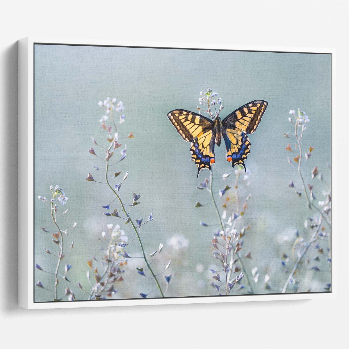 Swallowtail Butterfly & Floral Meadow Macro Wall Art by Luxuriance Designs. Made in USA.