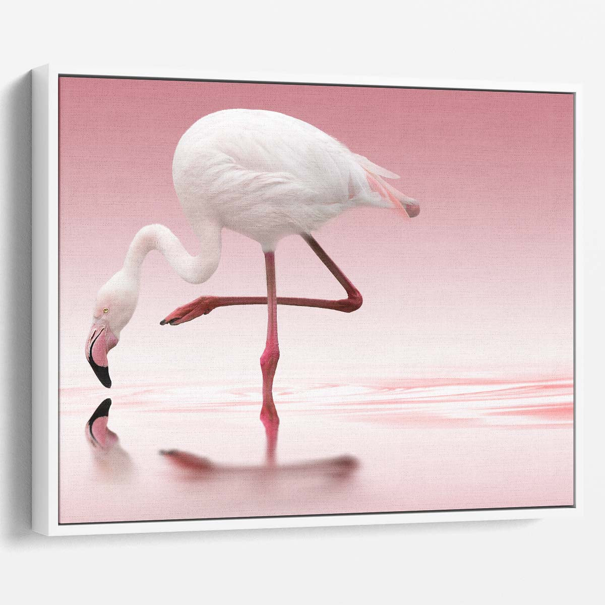 Romantic Pink Flamingo Pair Reflection Wall Art by Luxuriance Designs. Made in USA.