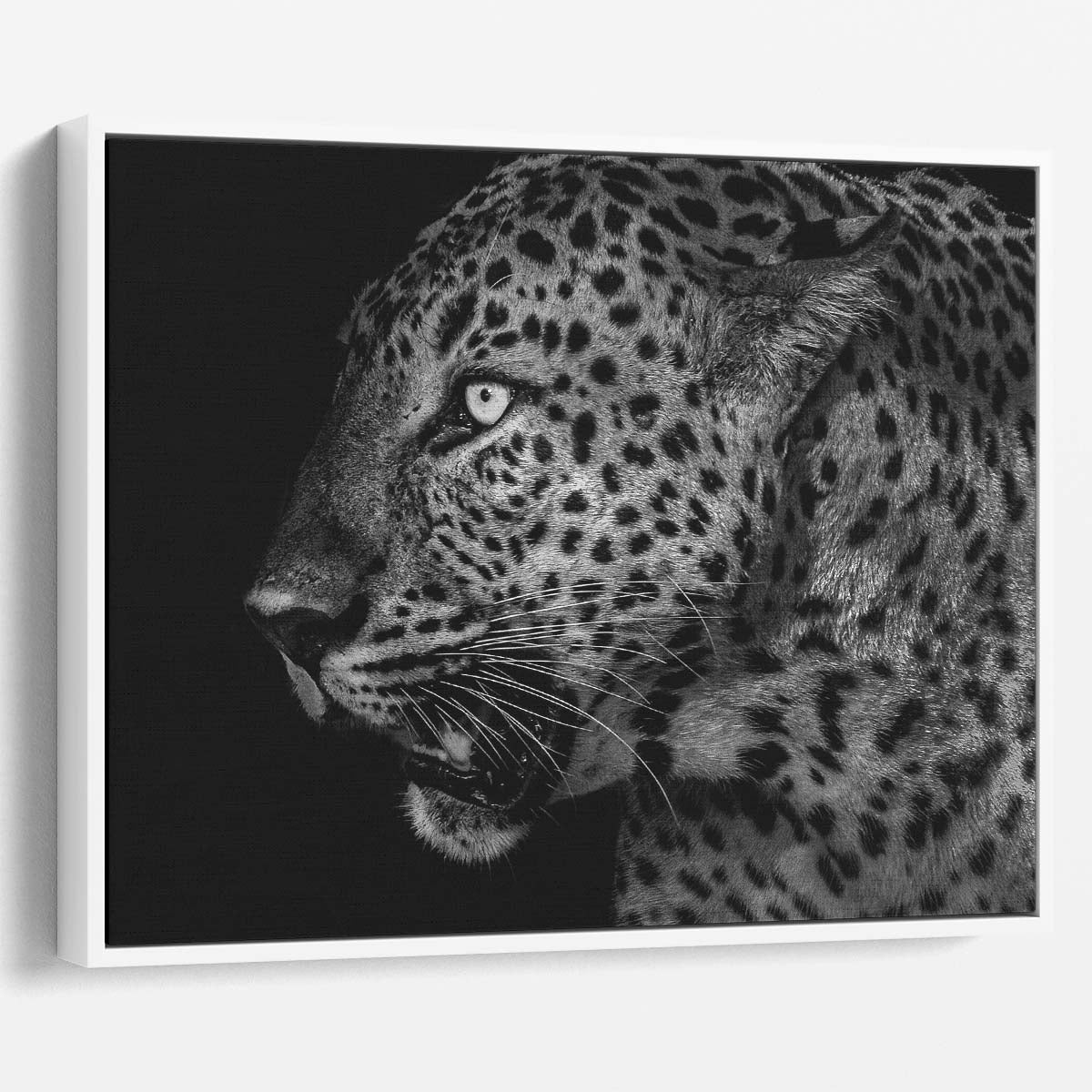 Black & White Leopard Profile Portrait Wall Art by Luxuriance Designs. Made in USA.