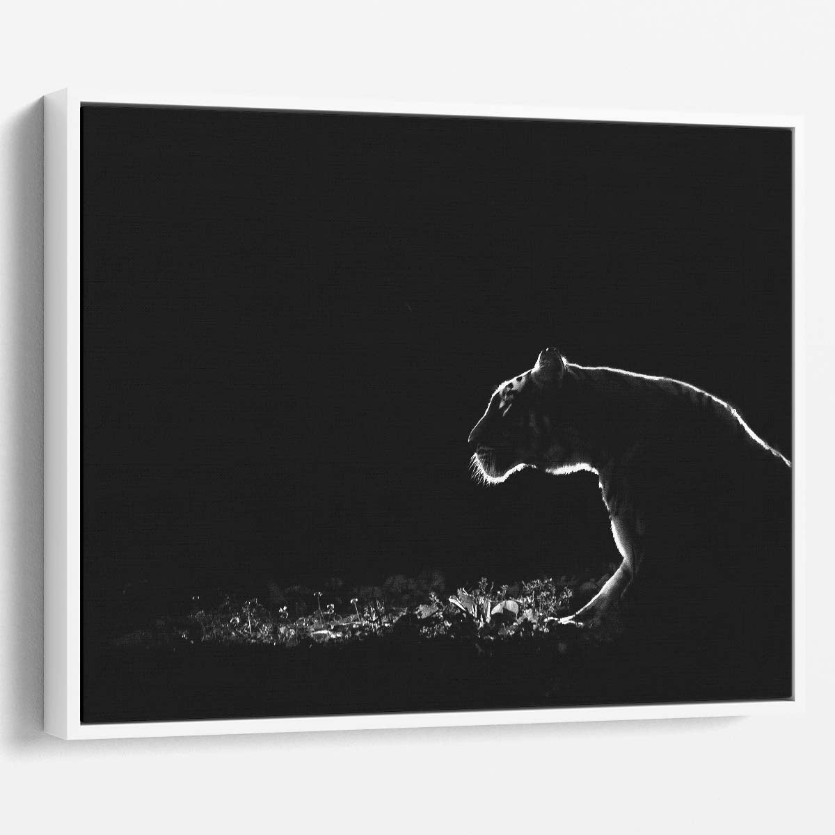 Minimalist Dark Lion Safari Wildlife Wall Art by Luxuriance Designs. Made in USA.