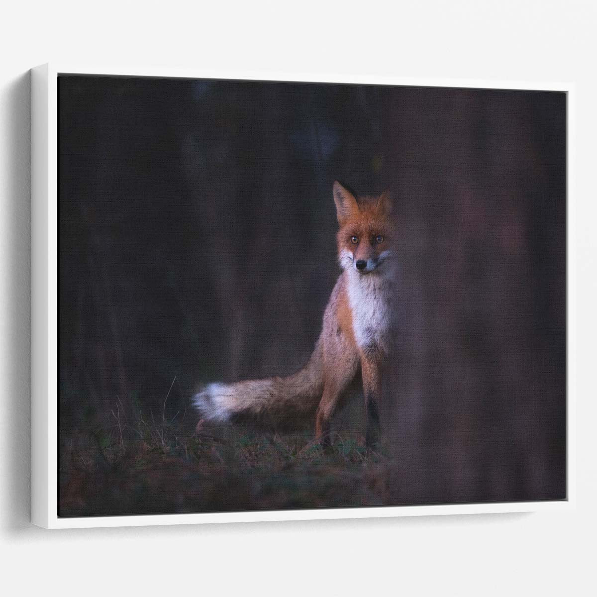 Enigmatic Red Fox Night Forest Wildlife Wall Art by Luxuriance Designs. Made in USA.