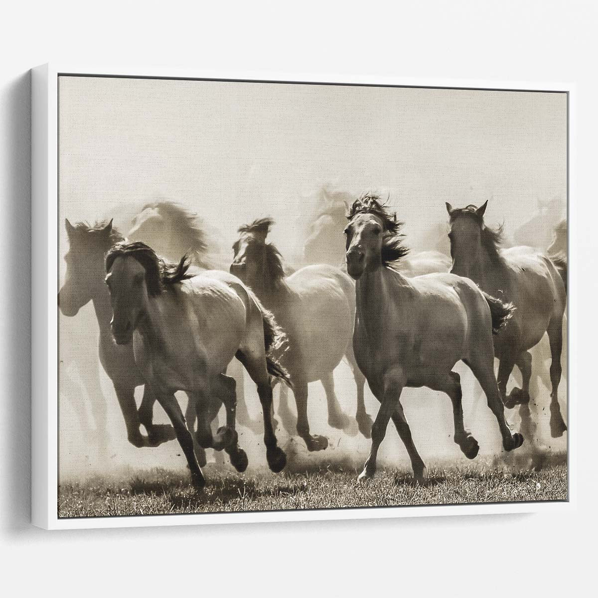 Dramatic HighSpeed Horse Herd Wall Art by Luxuriance Designs. Made in USA.