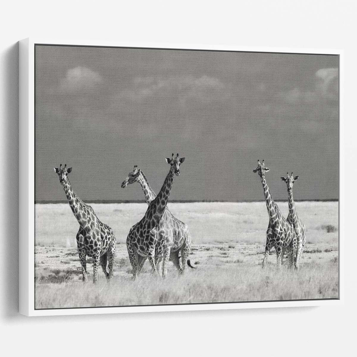African Savanna Giraffe Family Monochrome Wall Art by Luxuriance Designs. Made in USA.