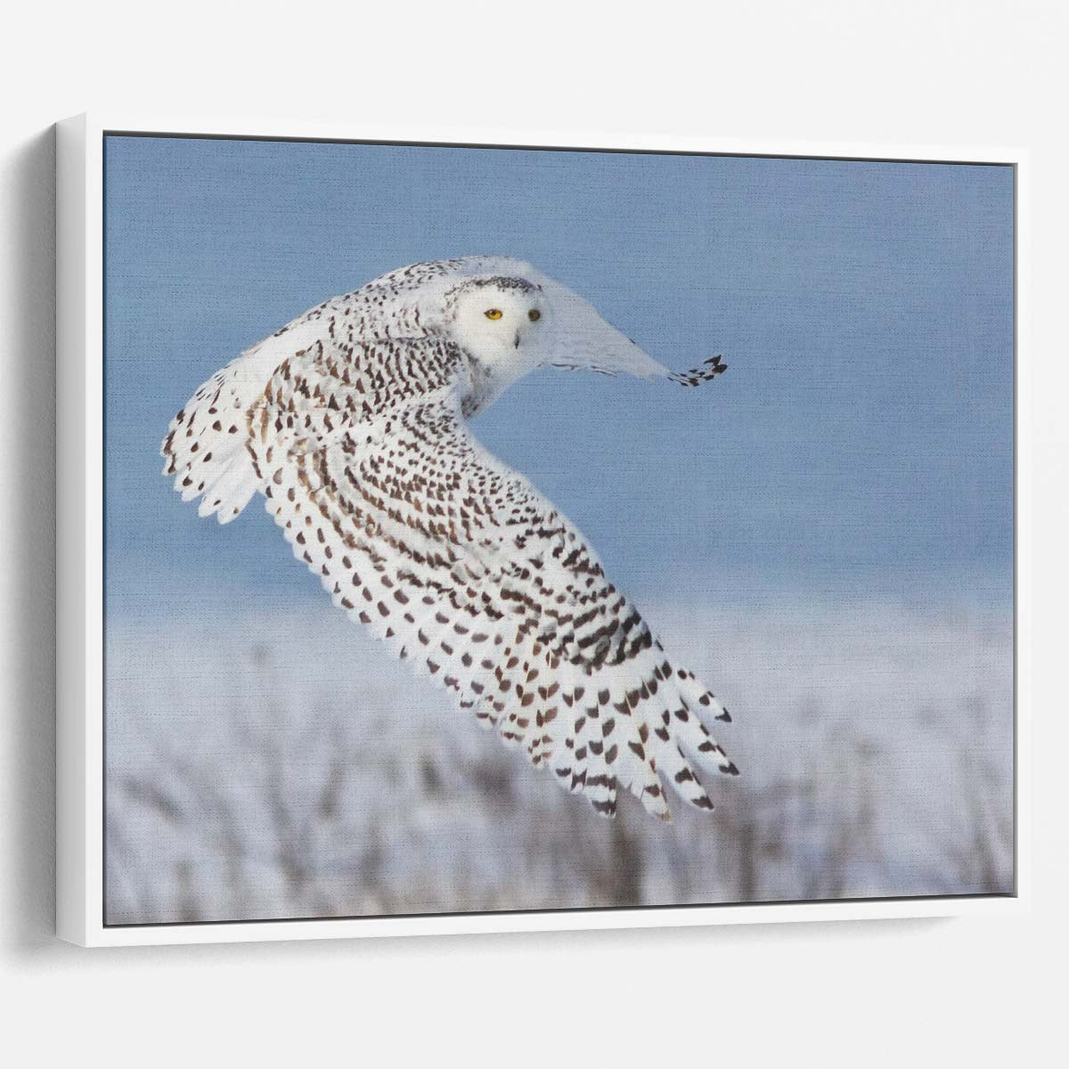 Frozen Winter Owl Flight Snowy Wildlife Wall Art by Luxuriance Designs. Made in USA.