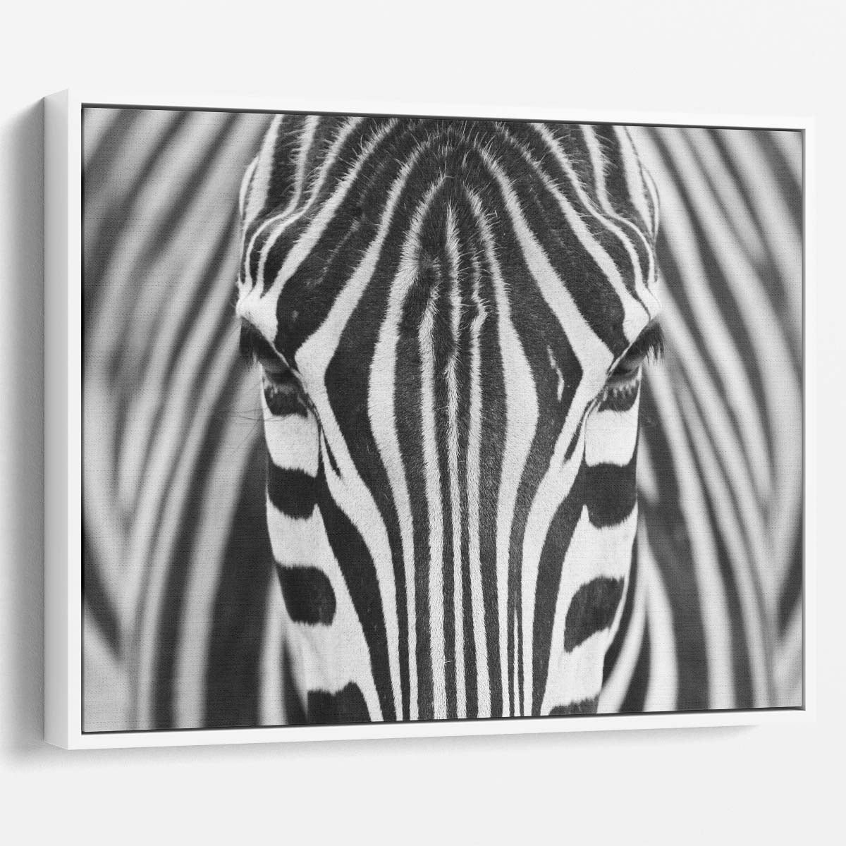 Monochrome Zebra Stripes Abstract Wildlife Wall Art by Luxuriance Designs. Made in USA.