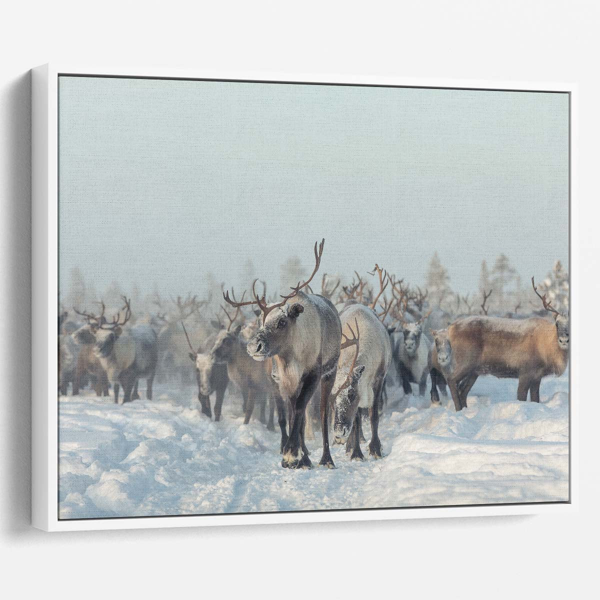 Frosty Winter Reindeer Herd Snowscape Wall Art by Luxuriance Designs. Made in USA.