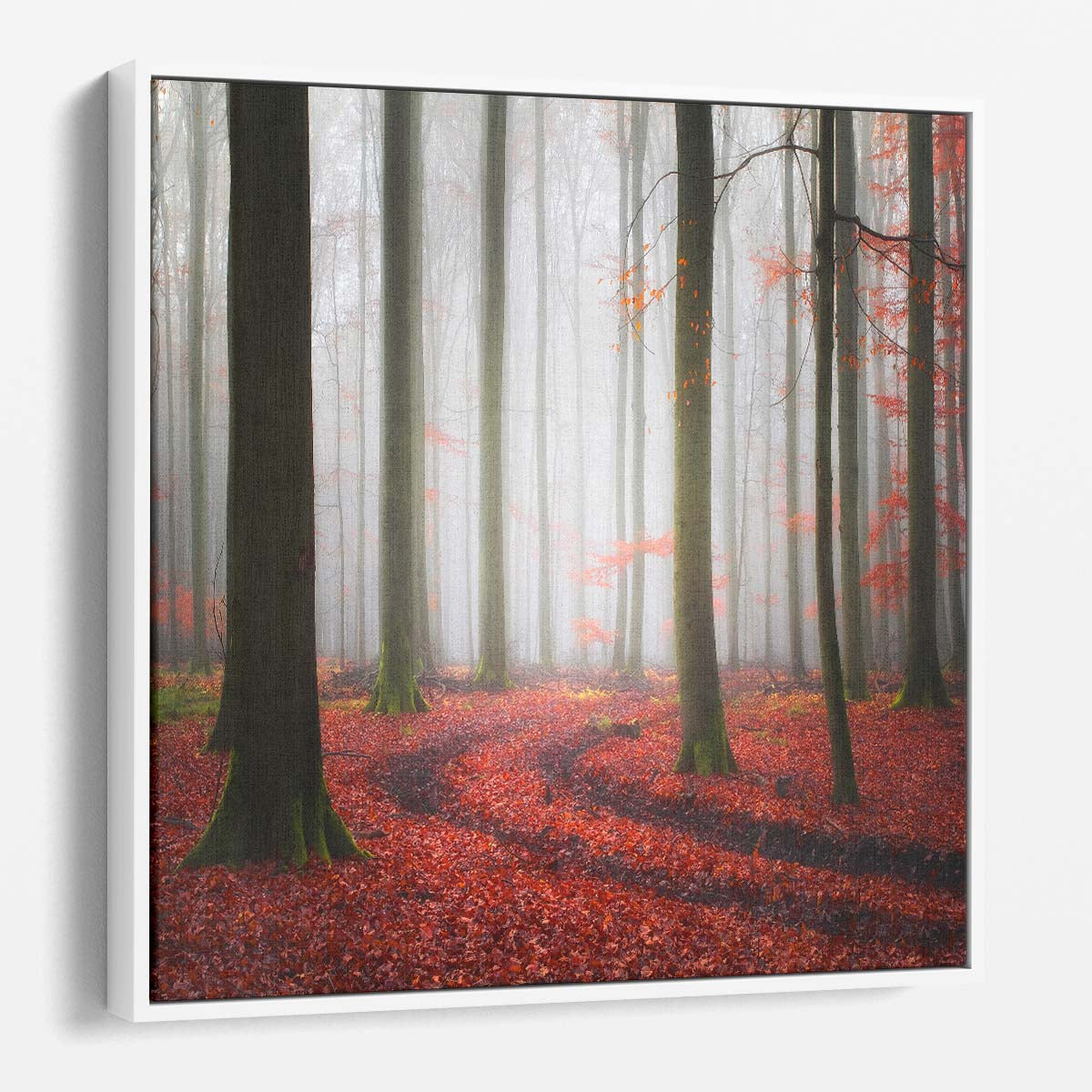 FogEnshrouded Red Autumn Forest Trail Landscape Photography Wall Art by Luxuriance Designs. Made in USA.