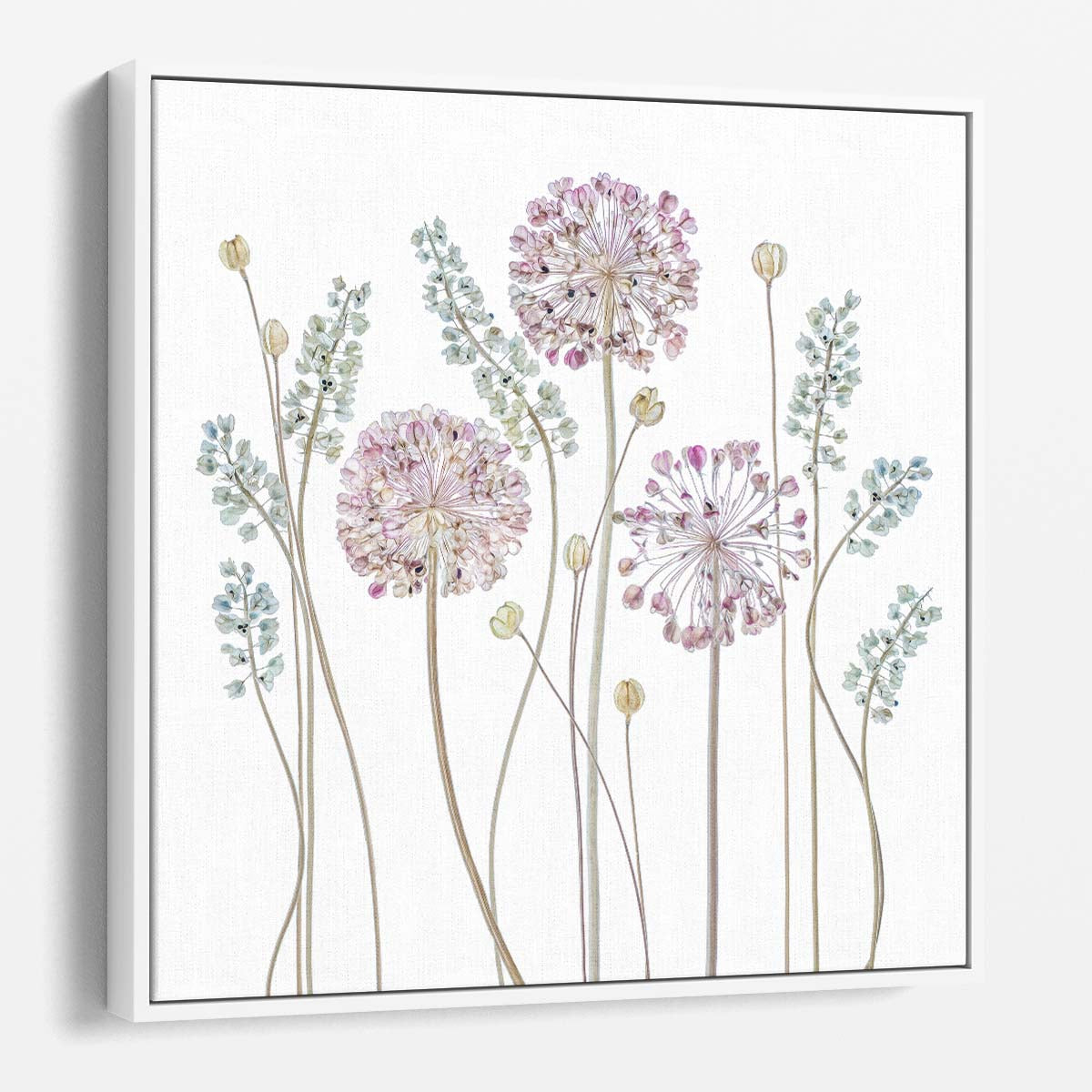 Allium & Muscari Floral Photography Wall Art by Luxuriance Designs. Made in USA.