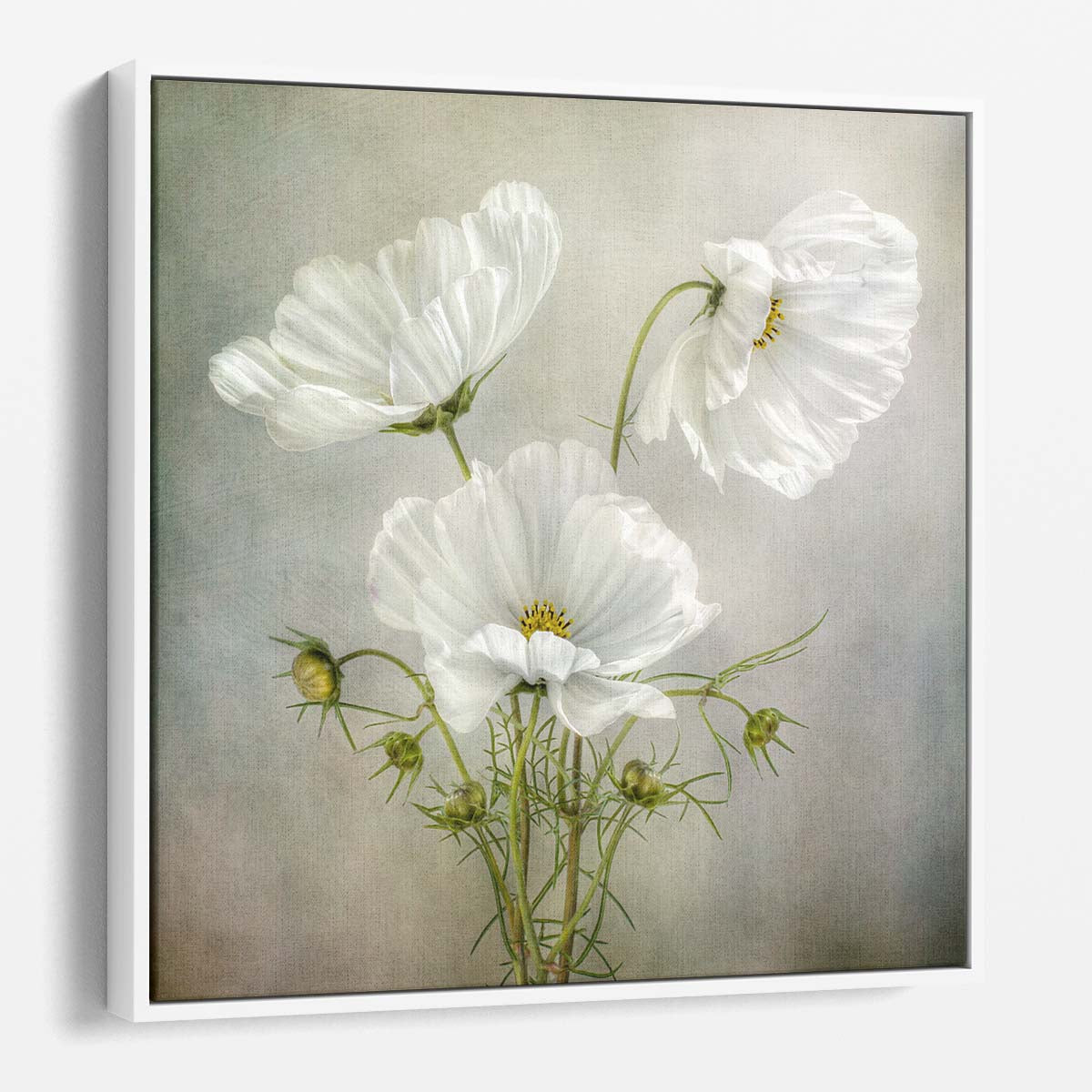 Retro Cosmos Trio Vintage Floral Photography Wall Art by Luxuriance Designs. Made in USA.