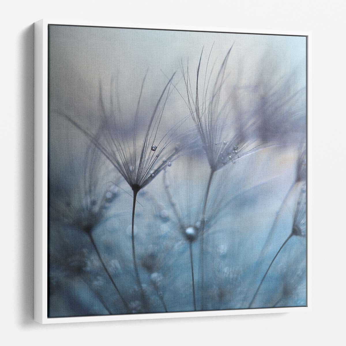Delicate Dandelion Dew Drops Floral Macro Photography Wall Art by Luxuriance Designs. Made in USA.