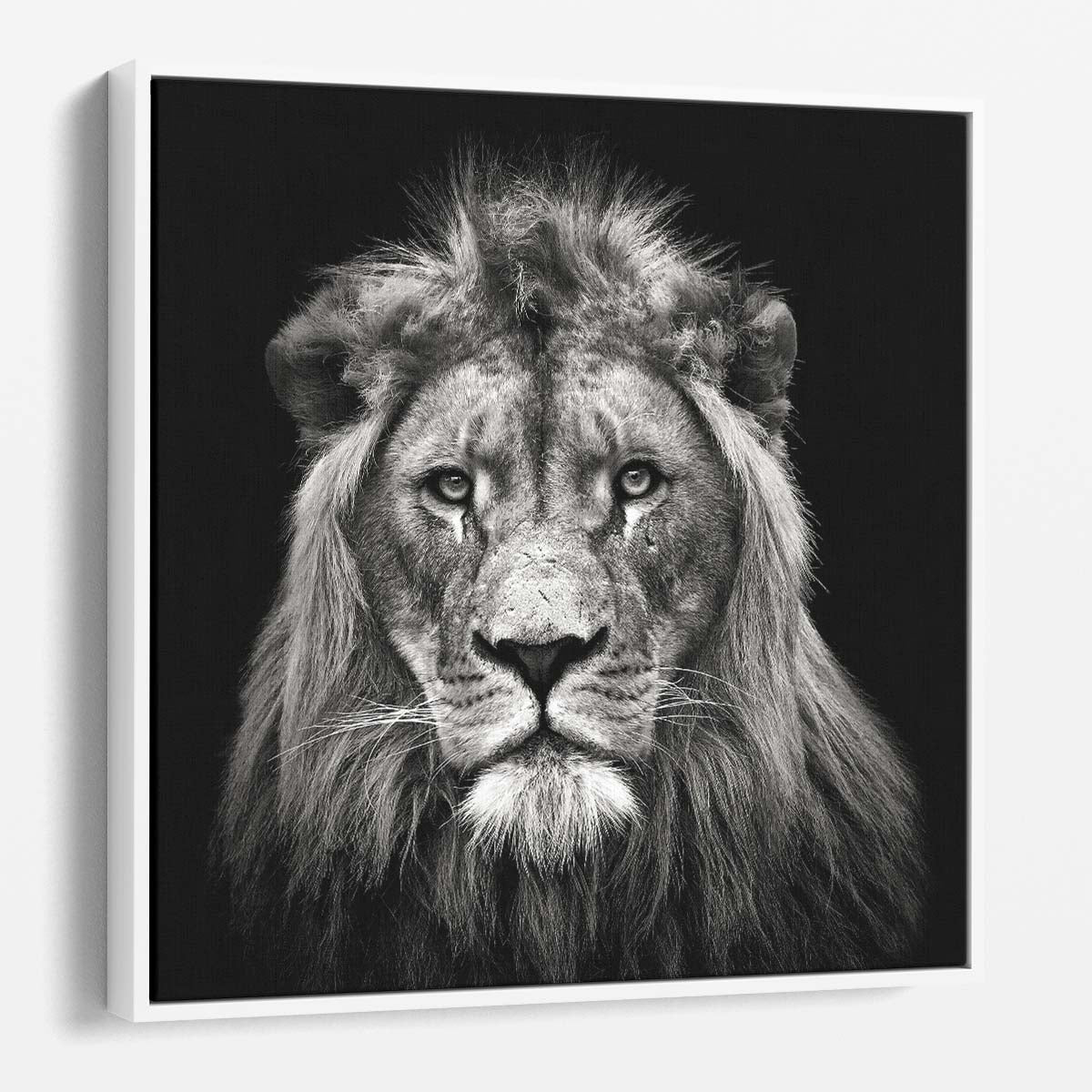 Dark Monochrome Lion Portrait Animal Photography Wall Art by Luxuriance Designs. Made in USA.