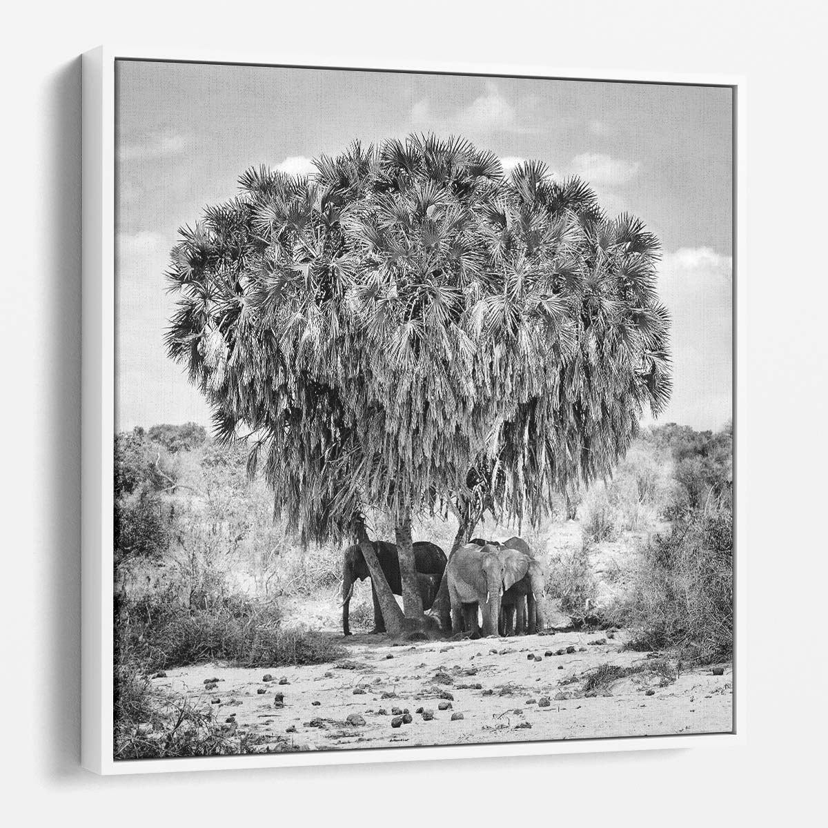 Monochrome Wildlife Photography Elephant Group Meeting in Tsavo, Kenya Wall Art by Luxuriance Designs. Made in USA.