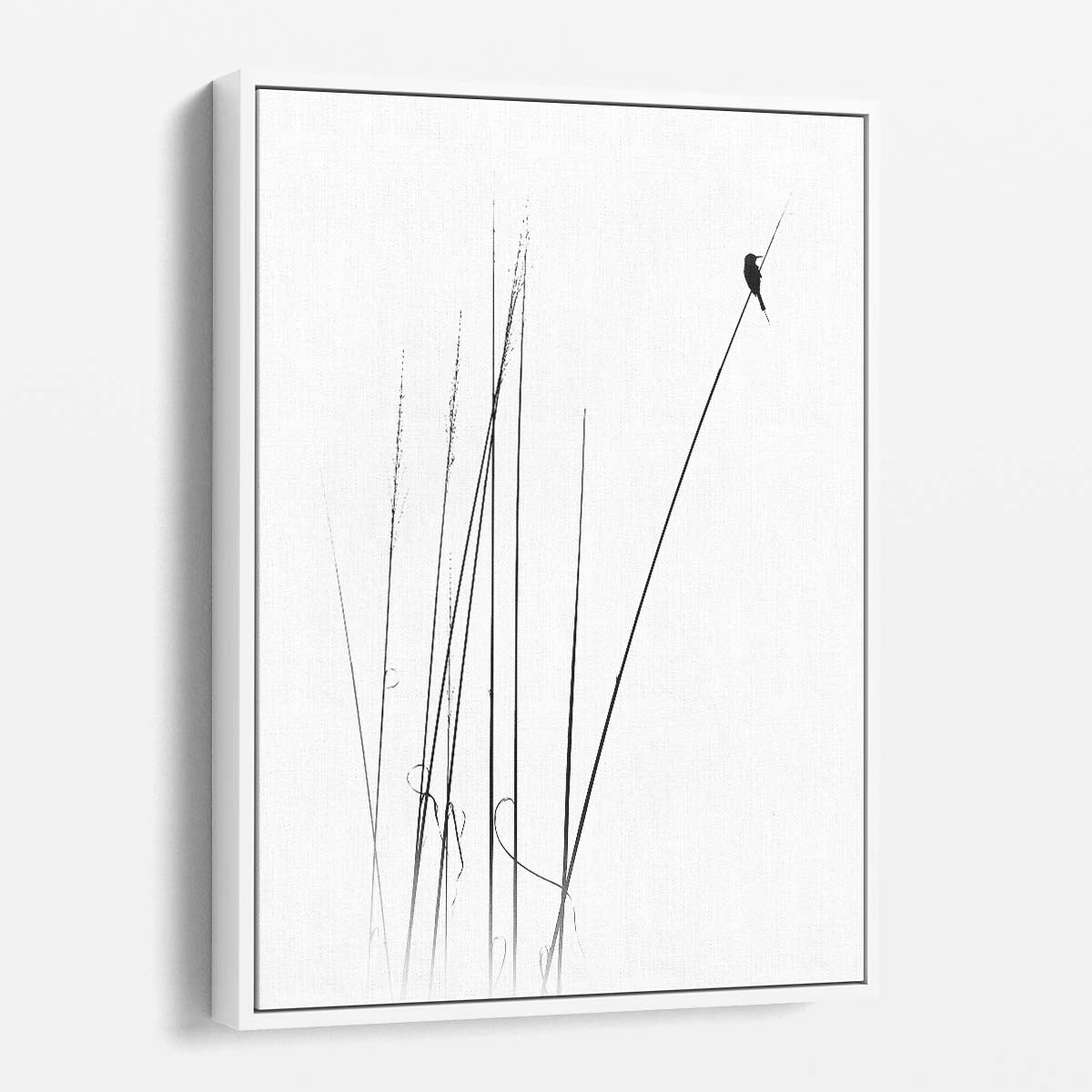 Minimalist Bird Reed Landscape Photography by Swapnil by Luxuriance Designs, made in USA