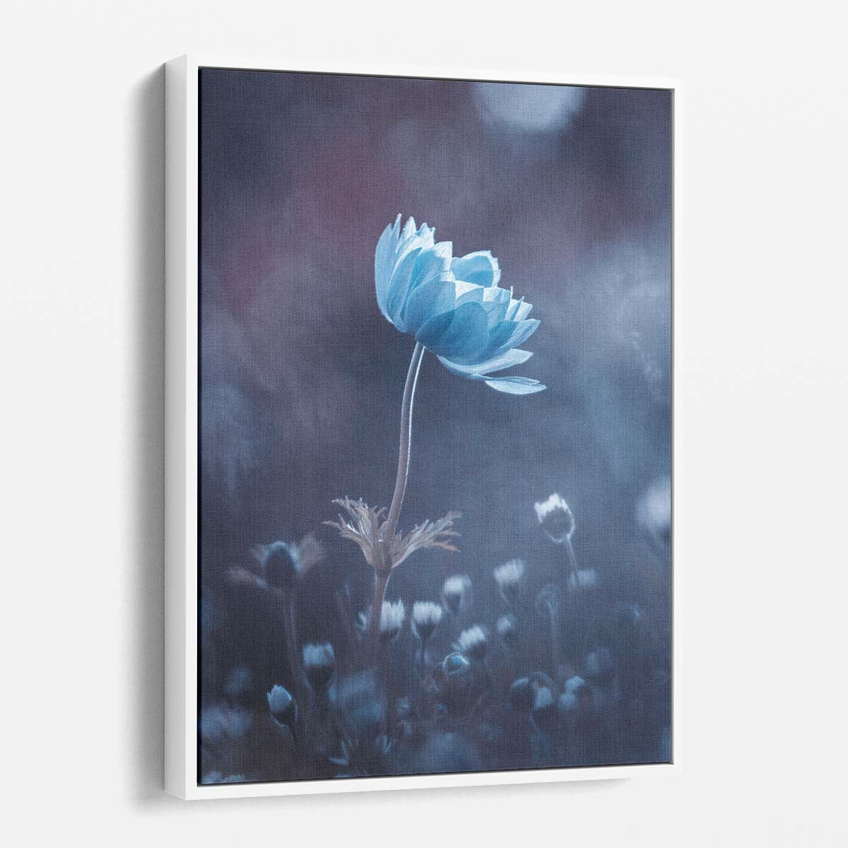 Blue Flower Macro Photography Close-Up Botanical Garden Art by Luxuriance Designs, made in USA