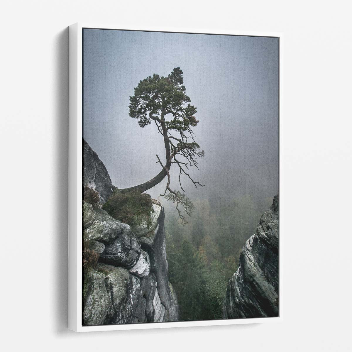 Lonely Bonsai Tree on Cliffside, Foggy Swiss-German Landscape Photography by Luxuriance Designs, made in USA