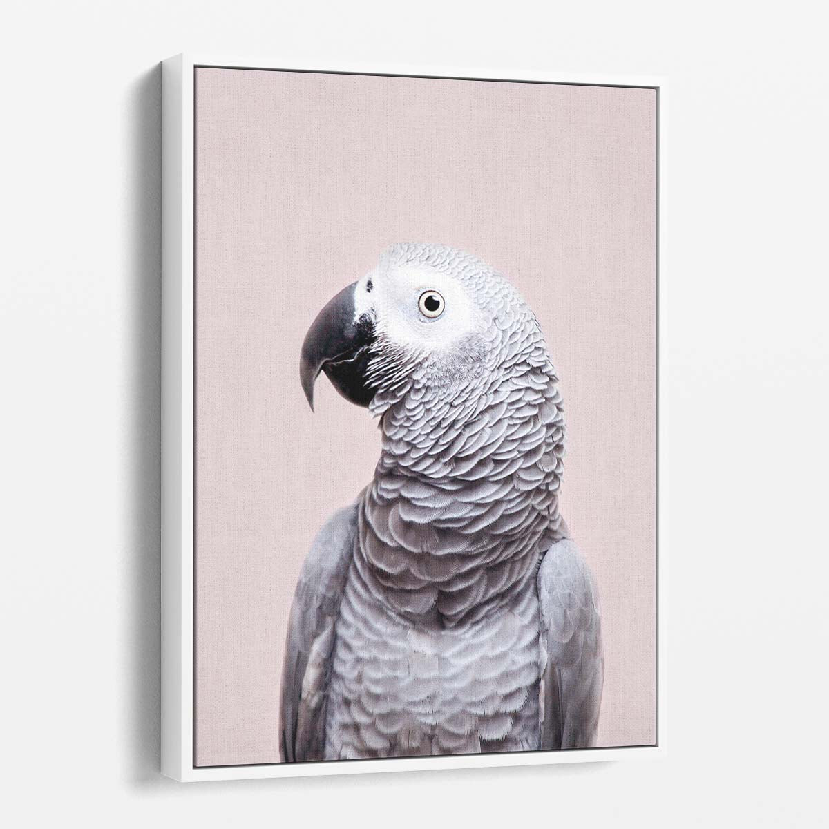 Bright African Grey Parrot Photography, Kathrin Pienaar by Luxuriance Designs, made in USA