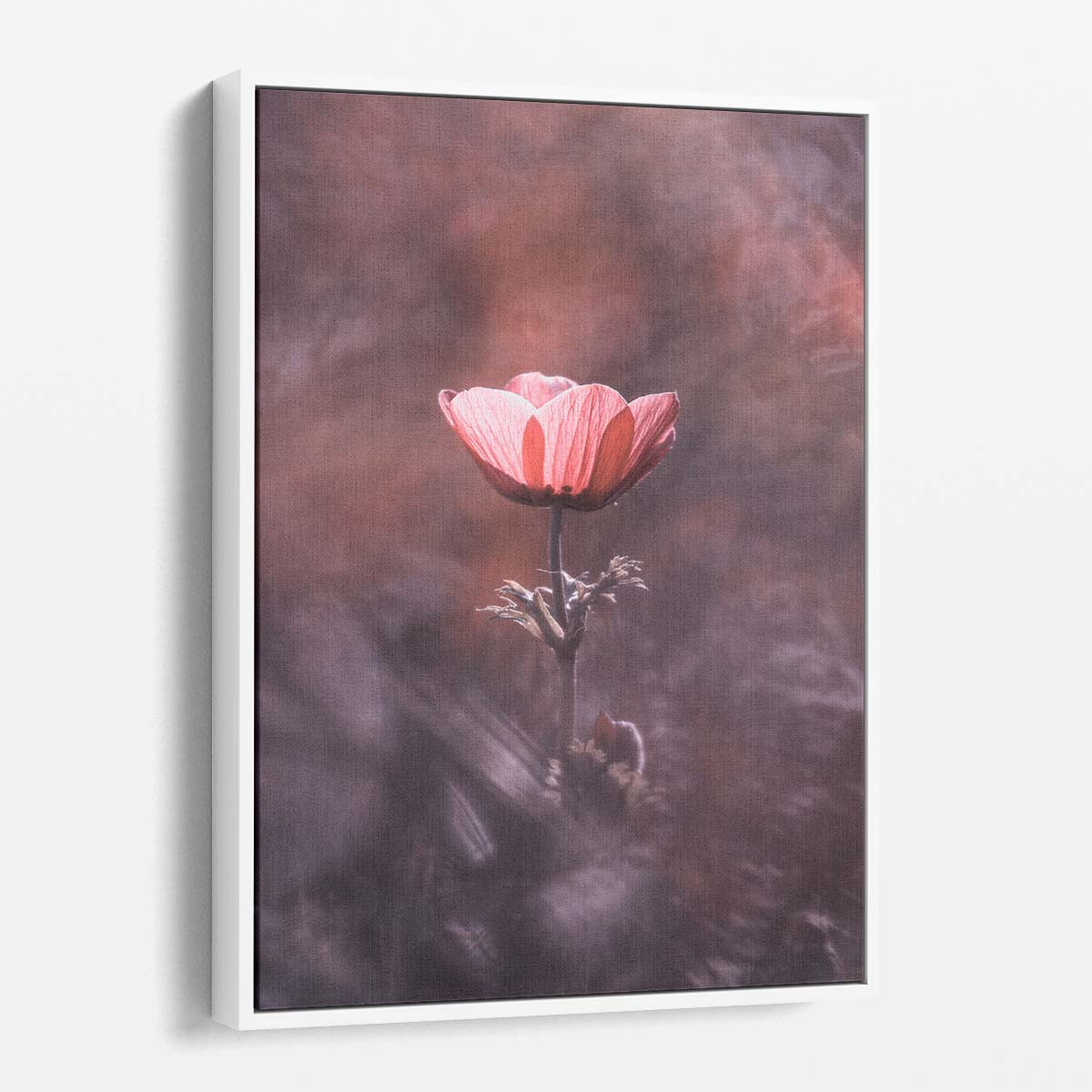 Macro Photography Painted Pink Poppy Petal and Anemone Blossom Wall Art by Luxuriance Designs, made in USA