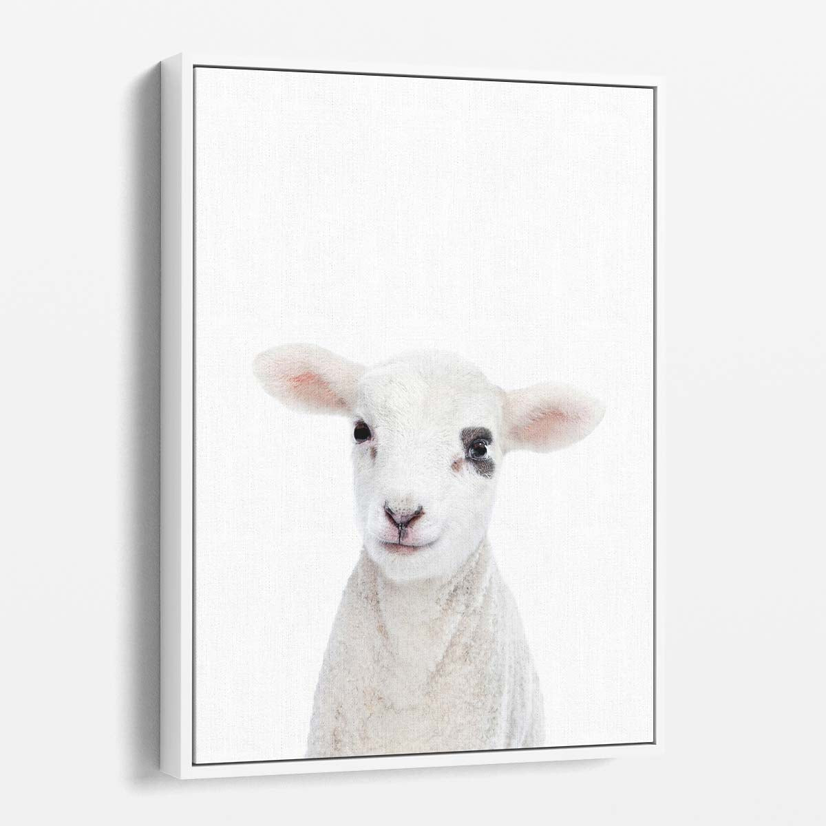 Pastoral Baby Lamb Portrait Photography, Farmhouse Wall Art by Luxuriance Designs, made in USA