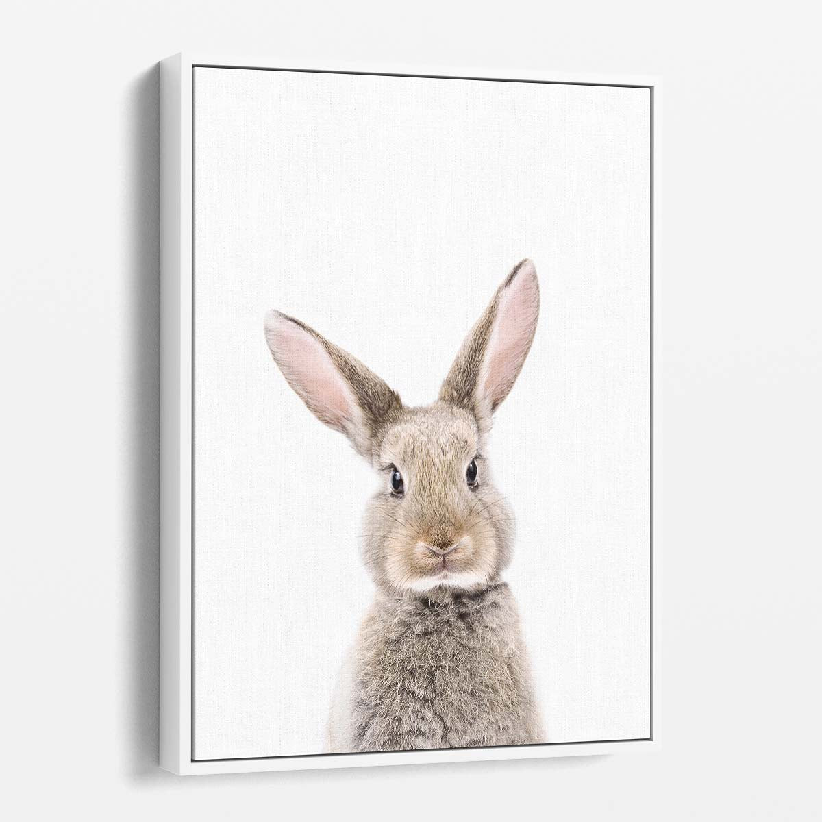 Baby Rabbit Close-Up Portrait Photography on Bright Background by Luxuriance Designs, made in USA
