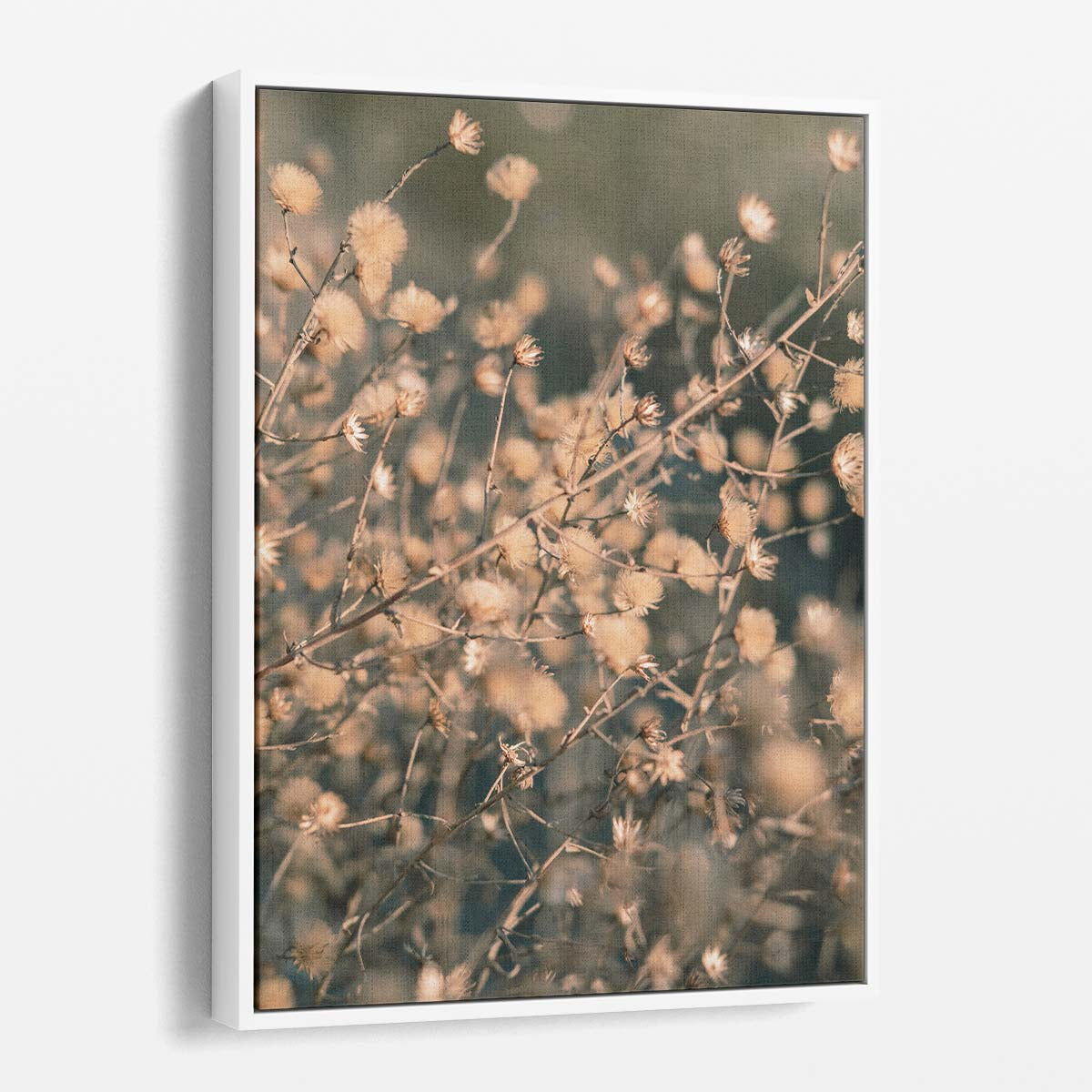 Beige Macro Floral Botanical Photography, Close-Up Bokeh Art by Luxuriance Designs, made in USA