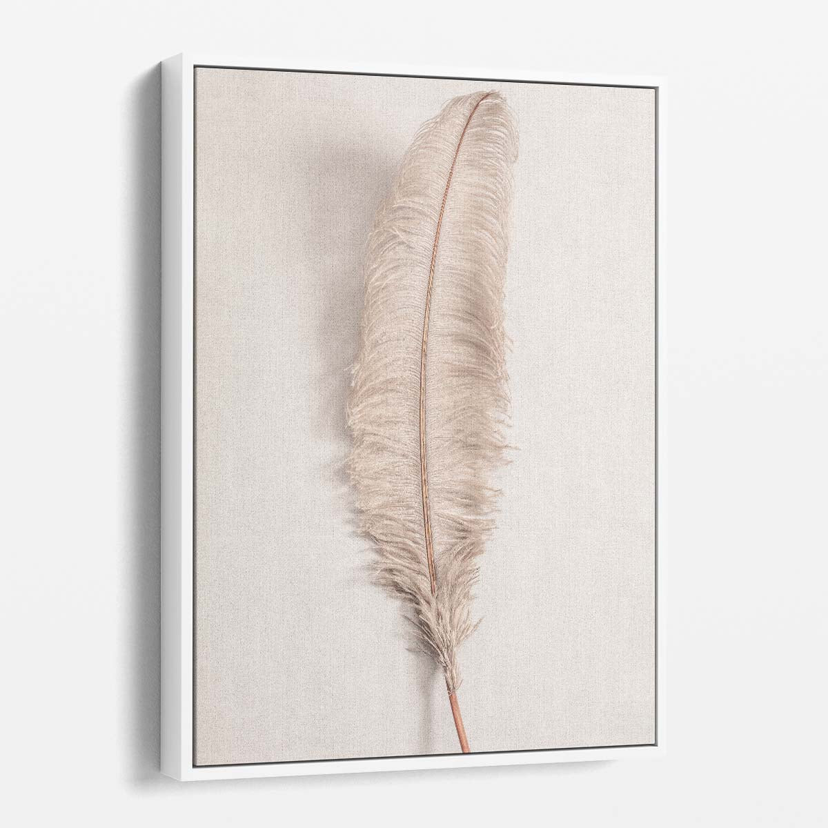 Studio Photography, Beige Bird Feather Still Life Art by Luxuriance Designs, made in USA
