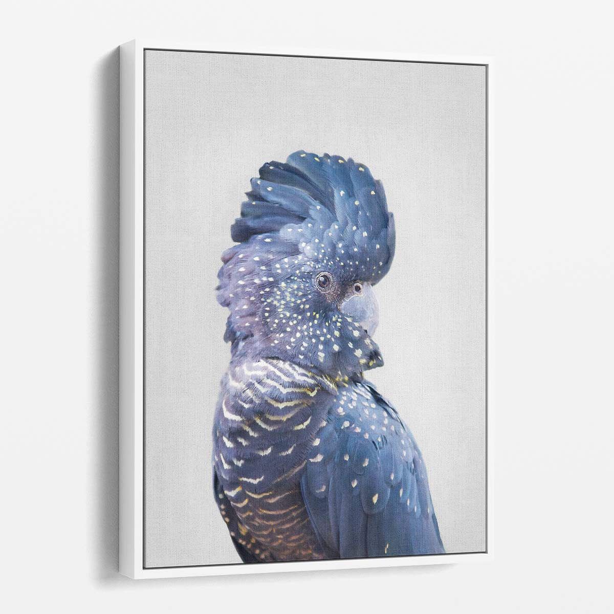 Blue Cockatoo Wildlife Photography Art by Kathrin Pienaar by Luxuriance Designs, made in USA