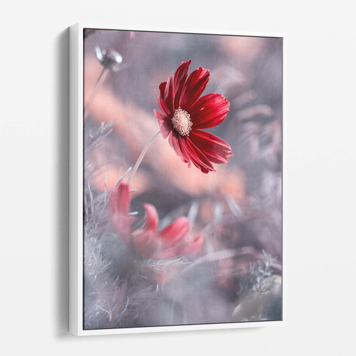 Romantic Red Floral Macro Photography - Passionate Valentine Blossom Art by Luxuriance Designs, made in USA