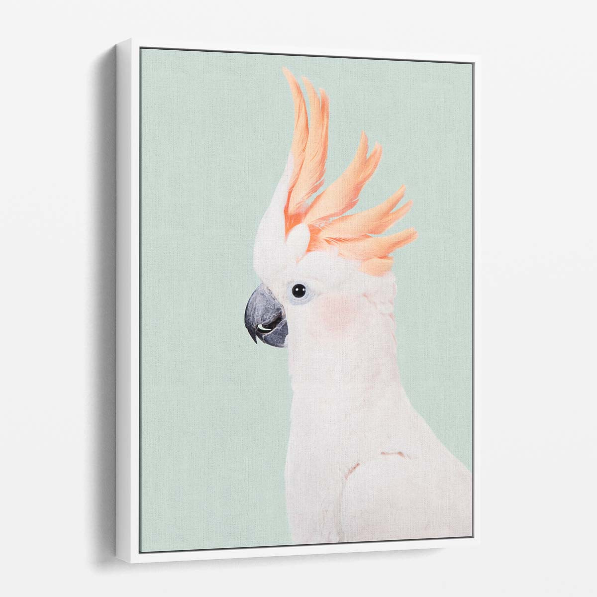 Sulphur-Crested Cockatoo Bird Photography Art by Kathrin Pienaar by Luxuriance Designs, made in USA