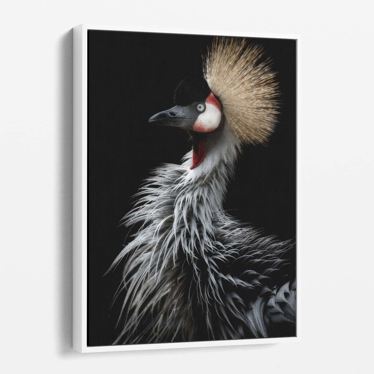 Minimalist Monochrome Crowned Crane Bird Photography Wall Art by Luxuriance Designs, made in USA