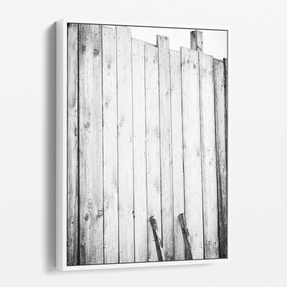 Lonely Bird Escaping Solitude - Black and White Photography Wall Art by Luxuriance Designs, made in USA