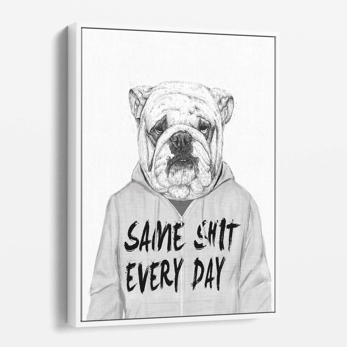 Bulldog in Hoodie Illustrated Wall Art, Monochrome Pet Portrait by Luxuriance Designs, made in USA
