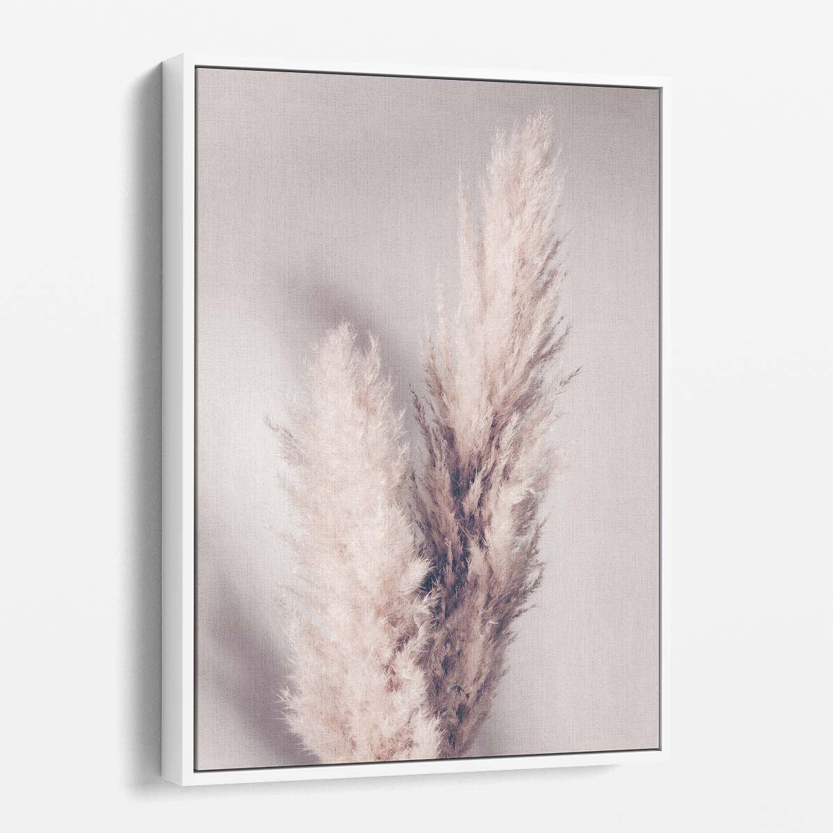 Soft Pampas Grass Beige Botanical Still Life Photography Art by Luxuriance Designs, made in USA