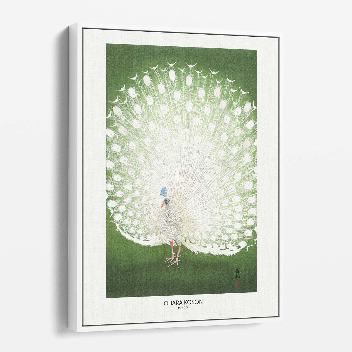 Vintage Japanese Peacock Illustration by Master Artist Ohara Koson by Luxuriance Designs, made in USA