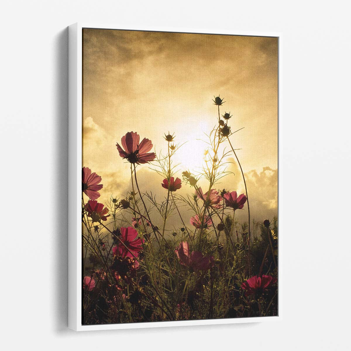 Summer Blooming Pink Flowers in Meadow, Sunset Landscape Photography by Luxuriance Designs, made in USA