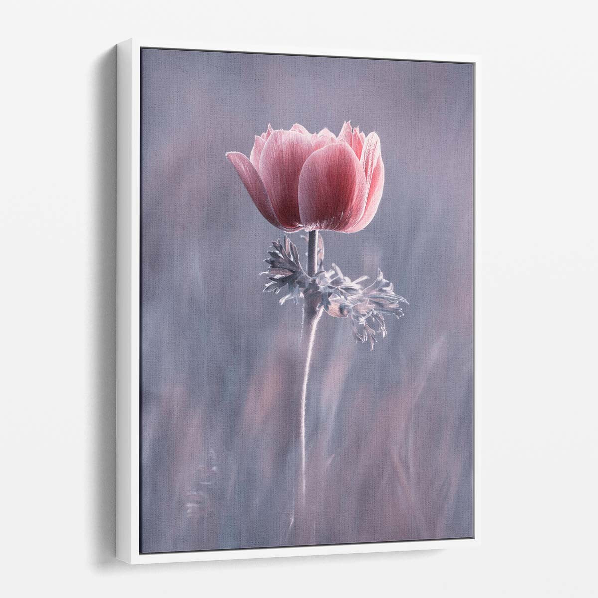 Romantic Pink Floral Macro Photography Close-Up Botanical Flower Wall Art by Luxuriance Designs, made in USA