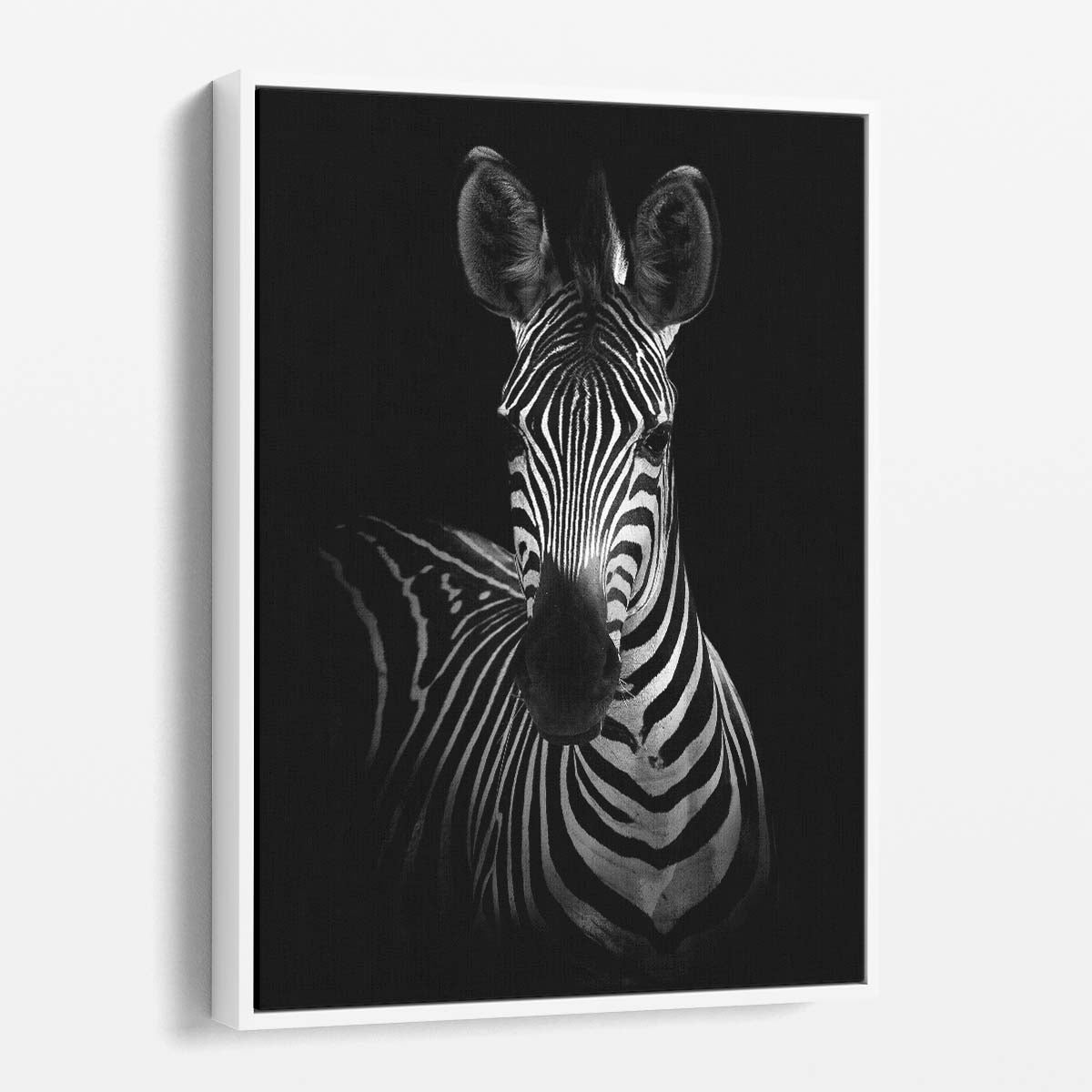 Monochrome Zebra Portrait - African Wildlife Photography Artwork by Luxuriance Designs, made in USA