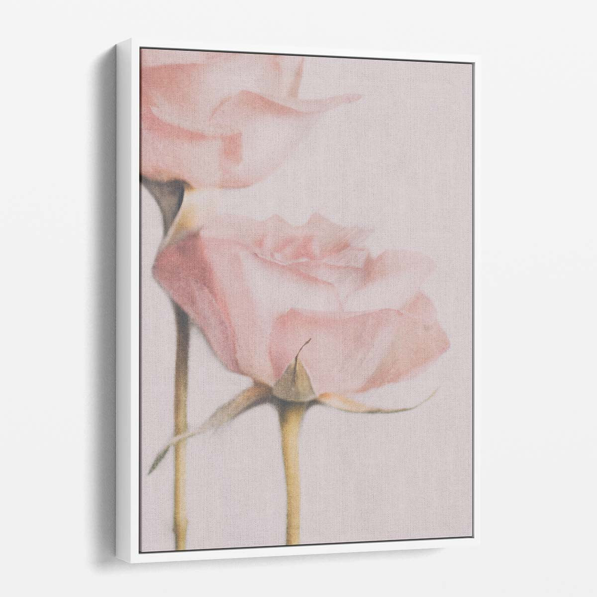 Romantic Pastel Pink Rose Duo- Valentine's Botanical Photography Art by Luxuriance Designs, made in USA