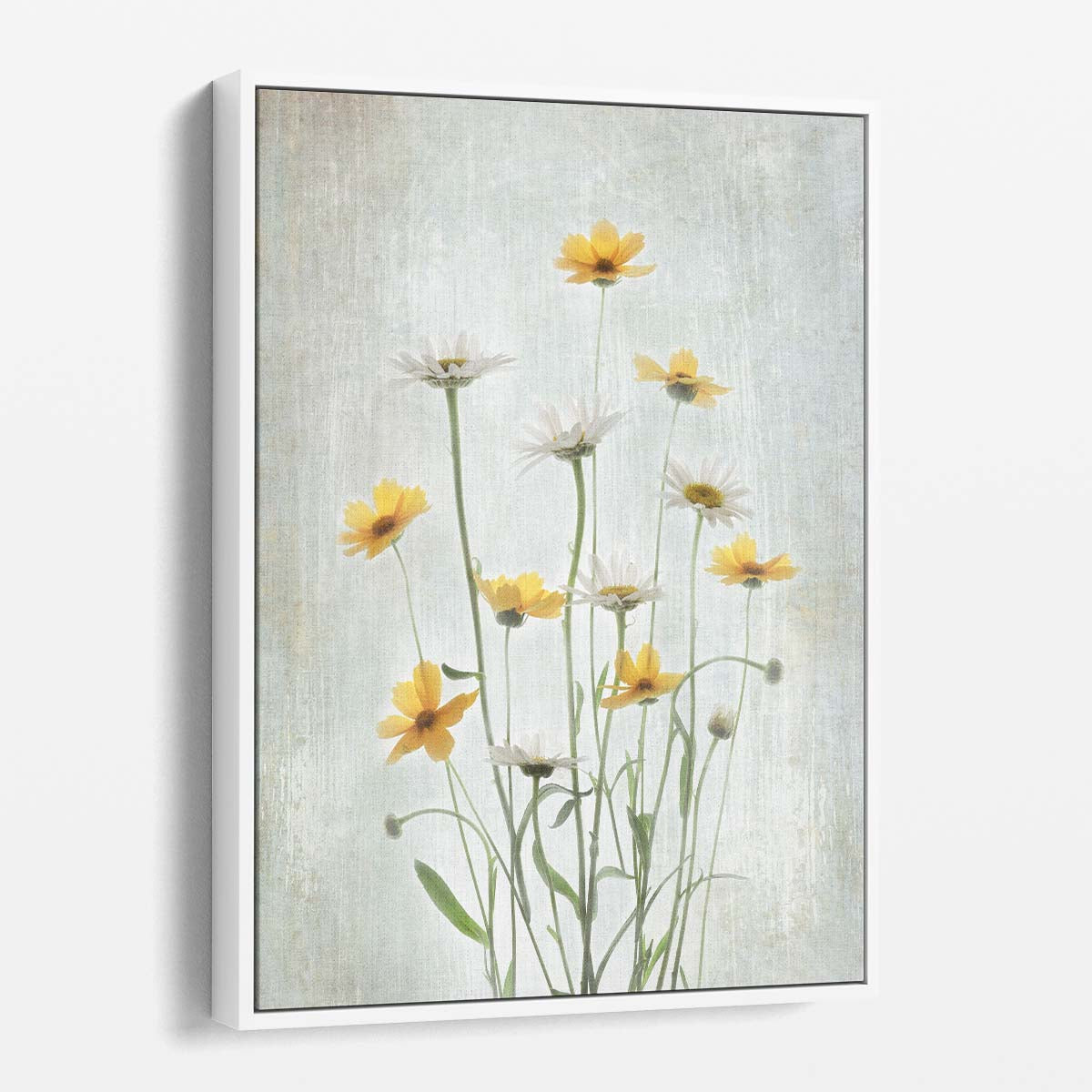 Summer Daisy Still Life Photography Floral and Botanical Wall Art by Luxuriance Designs, made in USA
